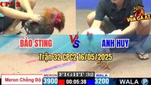Trận 32 CPC2 16/5/2025 – Anh Bảo Sting Vs Anh Huy