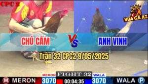 Trận 32 CPC2 9/5/2025 - Điều Cọp Chú Cấm Dỡ Giò Là Có Kết Quả