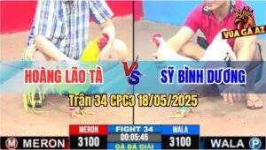 Trận 34 CPC3 18/5/2025 - Anh Hoàng Lão Tà Gặp Anh Sỹ Bình Dương