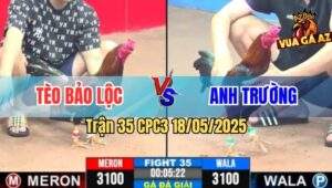 Trận 35 CPC3 18/5/2025 - Anh Tèo Bảo Lộc Gặp Anh Trường