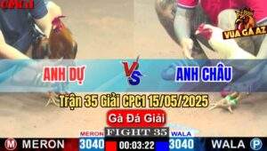 Trận 35 Giải CPC1 15/5/2025 – Anh Dự Vũng Tàu Vs Anh Châu Bến Tre