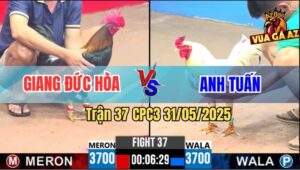 Trận 37 CPC3 31/5/2025 - Điều Anh Giang Đá Chân 1 Bướm Để Lại Cái Giò