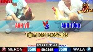 Trận 41 CPC1 5/5/2025 - Gà Úa Anh Tùng Đá Tăng 1 Hạ Gà Điều Anh Vũ