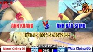 Trận 42 CPC2 23/5/2025 - Chuối Bảo Sting Nhỏ Mà Đá Bự Chạy Quanh Sân