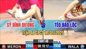Trận 48 CPC3 18/5/2025 - Gà Anh Sỹ Đâm Gà Anh Teo Thở OXY Không Kịp