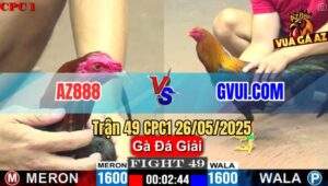 Trận 49 CPC1 26/5/2025 - Long Tranh Hổ Đấu Giữa AZ888 Và GVUI.COM