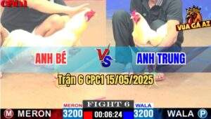 Trận 6 CPC1 15/5/2025 – Anh Bé Bến Tre Vs Anh Trung CPC