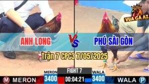 Trận 7 CPC3 7/5/2025 - Điều Cọp Anh Long Seo Mấy Chân Đối Thủ Gãy Chân