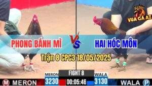 Trận 8 CPC3 18/5/2025 - Anh Phong Bánh Mì Đi 2 Con Gãy 1 Cặp