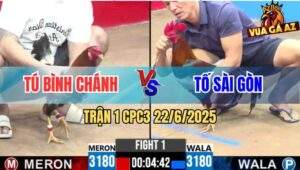 Trận 1 CPC3 22/6/2025 - Gà Anh Tố Sài Gòn Cầm Hơi Vô Kính Đá Như Máy