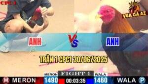 Trận 1 CPC1 30/06/2025 - 2 Con Lì Lợm Cắn Mổ Tới Phút Cuối Buông Hoà