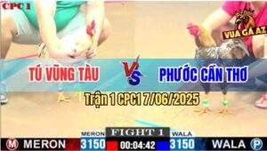 Trận 1 CPC1 7/6/2025 - Cú Anh Bé Bắt Bướm Không Thành Còn Bị Đâm Chết