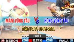 Trận 1 CPC3 11/6/2025 - Anh Mắm Vũng Tàu Mở Bát Hạ Anh Hùng Vũng Tàu