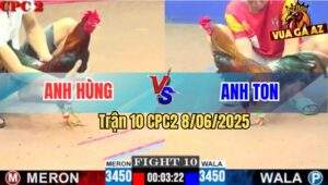 Trận 10 CPC2 8/6/2025 - Điều Bông Anh Ton Đâm Cựa Như Cái Máy