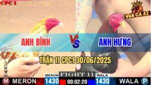 Trận 11 CPC1 30/06/2025 - Gà Khét Bông Đâm Rớt Nài Đối Thủ Sau 3 Cựa