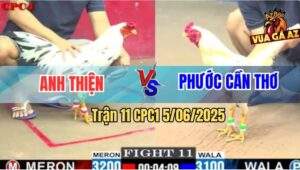 Trận 11 CPC1 5/6/2025 - Bướm Anh Thiện Đâm Bại Liệt Bướm Anh Phước