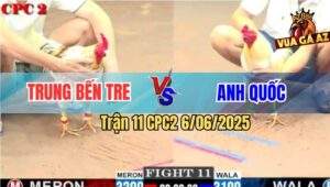Trận 11 CPC2 6/6/2025 - Anh Bảo Sting Thả Giùm Hạ ĐKVĐ Trung Bến Tre