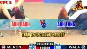 Trận 12 CPC2 27/06/2025 - Gà Anh Long Bươi Chà 1 Tăng Lụm Xổ Anh Danh