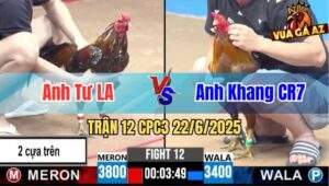 Trận 12 CPC3 22/6/2025 - Anh Tư Long An Đụng Độ Anh Khang CR7
