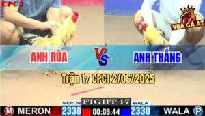 Trận 17 CPC1 2/6/2025 - Anh Rùa Gấp Ăn Bắt Gà Phạm Luật Bị Xử Thua