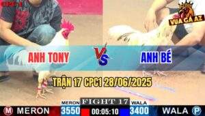 Trận 17 CPC1 28/06/2025 - Gà Bướm Chân Trắng Bị Đối Thủ Hạ Quá Mau Lẹ