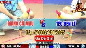 Trận 17 CPC2 1/6/2025 - Anh Giang Cà Mau Và Anh Tèo Đen Lê