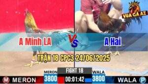 Trận 18 CPC3 24/06/2025 - Anh Minh Long An Vs Anh Hai.jpg