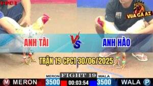 Trận 19 CPC1 30/06/2025 - Gà Bướm Anh Tài Đá Quá Lì Đòn Lụm Xổ Anh Hào