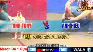 Trận 20 CPC1 28/06/2025 - Xám Lệch 8 Chấm Đá Bướm Không Ăn Thua