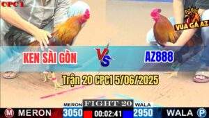 Trận 20 CPC1 5/6/2025 - Gà Điều AZ888 Té Giả Phản Tang Hàng 6 La Miệng