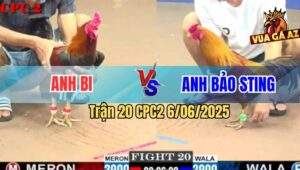 Trận 20 CPC2 6/6/2025 - Anh Bảo Sting Quá Đen, Vô Dính Chân Cúp Điện