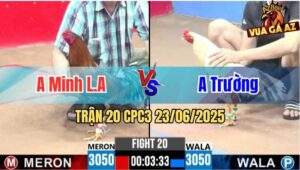 Trận 20 CPC3 23/06/2025 - Anh Minh Long An Và Anh Trường
