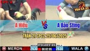 Trận 21 CPC2 25/06/2025 - Anh Hiếu Hạ Luôn Gà Hiệu Của Anh Bảo Sting