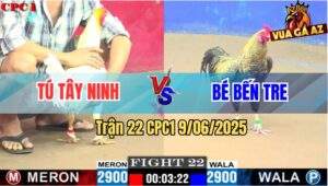 Trận 22 CPC1 9/6/2025 - Anh Tú Tây Ninh Và Anh Bé Bến Tre