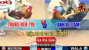 Trận 22 CPC2 1/6/2025 - Anh Trung Bến Tre Và Anh Xe Lam