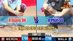 Trận 22 CPC3 24/06/2025 - Anh Giang Đức Hoà Vs Anh Phát Sài Gòn