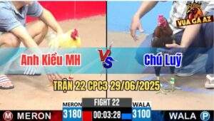 Trận 22 CPC3 29/06/2025 - Anh Kiều Mộc Hoá Vs Chú Luỹ
