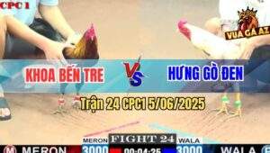 Trận 24 CPC1 5/6/2025 - Anh Khoa Bến Tre Và Anh Hưng Gò Đen