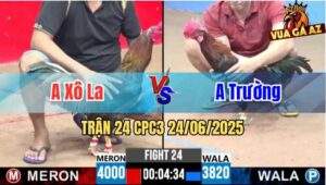 Trận 24 CPC3 24/06/2025 - Gà Anh Trường Đá Canh Chặn Khôn Khéo