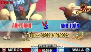 Trận 25 CPC2 1/6/2025 - Điều Siêu Mỹ Đâm Gà Que Anh Danh Ói Đen Đầu