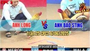 Trận 25 CPC2 6/6/2025 - Anh Bảo Sting Vừa Thay Áo Hạ Anh Long Quá Đẹp