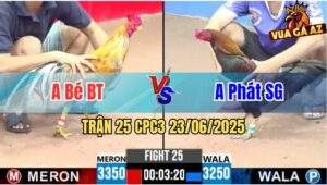 Trận 25 CPC3 23/06/2025 - Anh Bé Bến Tre Và Anh Phát Sài Gòn