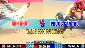 Trận 3 CPC1 7/6/2025 - Điều Cọp Anh Phước Cần Thơ Đá Chân Nào Cũng Đâm