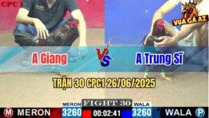 Trận 30 CPC1 26/06/2025 - Gà Anh Giang Bị Đá Ăn 5 Và Cái Kết