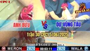 Trận 30 CPC1 5/6/2025 - Gà Phèn Anh Bửu Có Chân Giết Xong Bỏ Chạy
