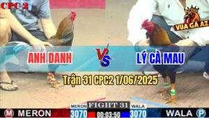 Trận 31 CPC2 1/6/2025 - Que Anh Danh Chạy Xe Đá Điều Chạy Luôn