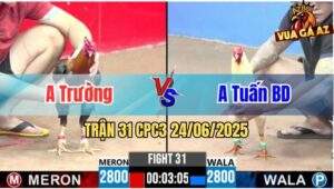 Trận 31 CPC3 24/06/2025 - Anh Trường Vs Anh Tuấn Bình Dương