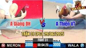 Trận 31 CPC3 29/06/2025 - Anh Giang Đức Hoà Vs Anh Thiện Vũng Tàu