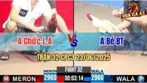 Trận 32 CPC3 23/06/2025 - Gà Bướm Idol Bé Bến Tre Dở Chân Là Đâm
