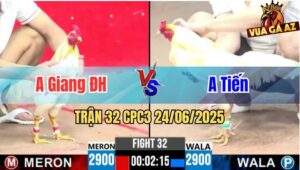 Trận 32 CPC3 24/06/2025 - Gà Anh Giang Đức Hoà Nạp 1 Chân Cúp Điện